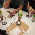 IMG_20260524_165424_257.jpg