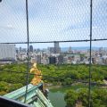 IMG_20260526_110333_251.jpg