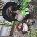 IMG_20260526_182300_361.jpg