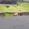 IMG_20260527_130759_198.jpg