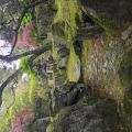 IMG_20260527_145626_353.jpg
