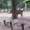 IMG_20260527_151131_986.jpg