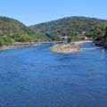 IMG_20260529_154624_390.jpg