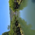 IMG_20260530_123415_457.jpg