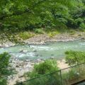 IMG_20260531_111513_569.jpg