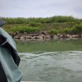 IMG_20260531_131253_804.jpg