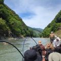 IMG_20260531_132555_940.jpg