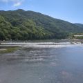 IMG_20260531_145713_681.jpg