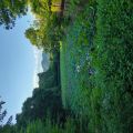 IMG_20260531_170557_215.jpg