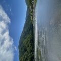 IMG_3950.HEIC
