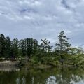 IMG_4798.HEIC