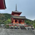 IMG_4819.HEIC