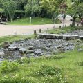 IMG_4875.HEIC