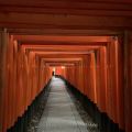 IMG_4959.HEIC