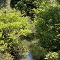 IMG_4989.HEIC