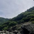 IMG_5019.HEIC