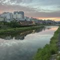 IMG_9253.HEIC